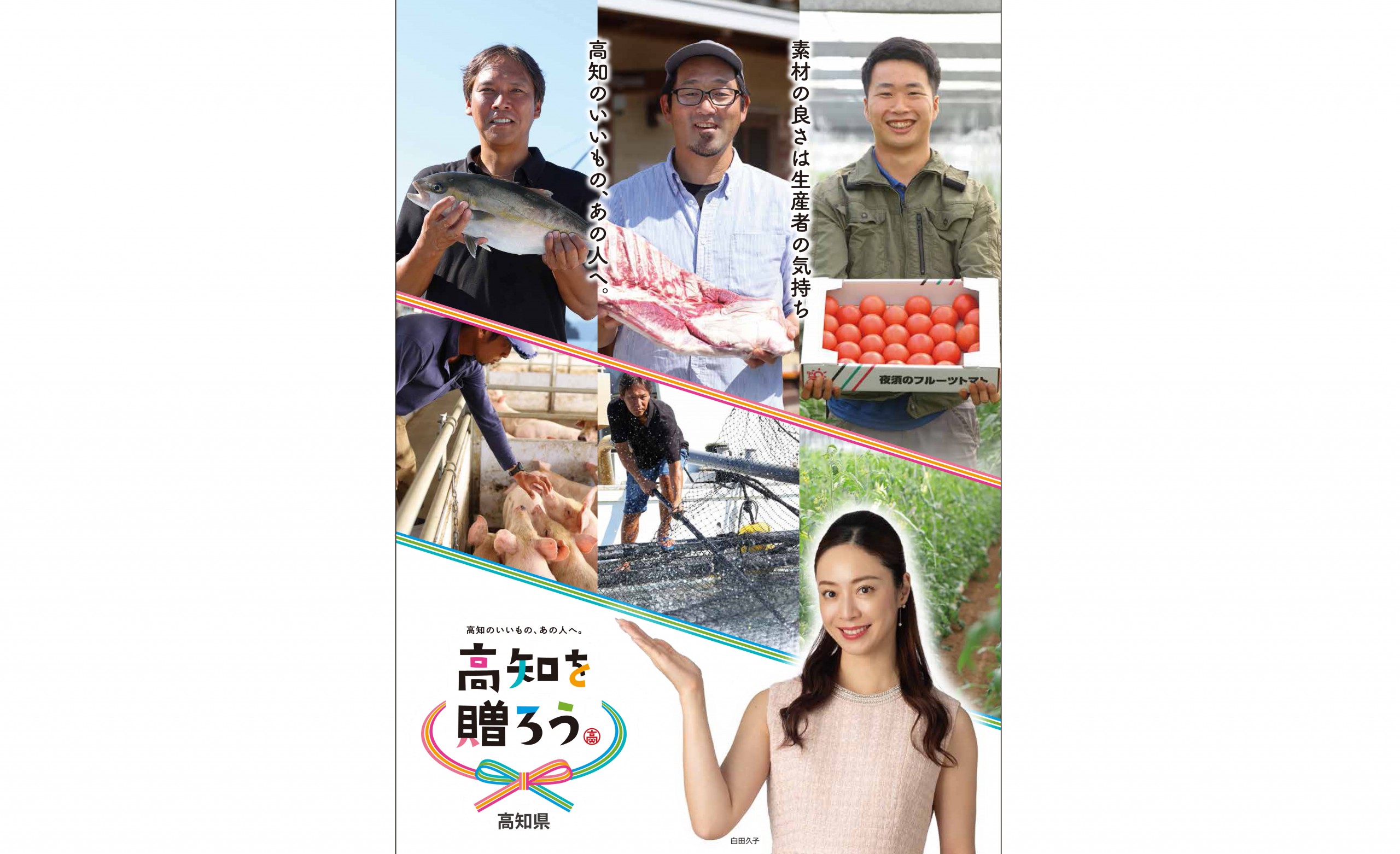 【高知県観光特使 白田久子】 毎週土曜日10：25～ 高知のいい[…]